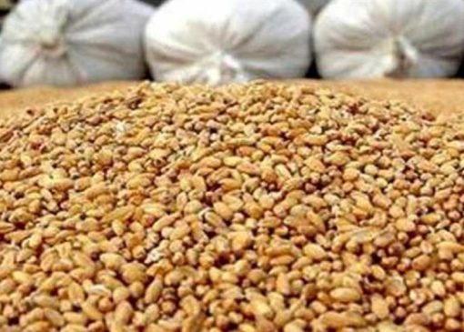 بسته حمایتی دولت برای تولیدکنندگان پس از حذف ارز 28500