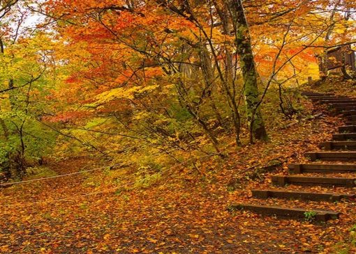 سفر پاییزی با خانواده؛ برنامه‌های خانوادگی و تفریحات پاییزی