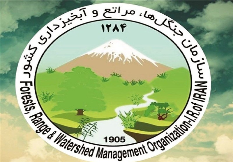 شهادت فرمانده یگان حفاظت منابع طبیعی کشور شهادت فرمانده یگان حفاظت منابع طبیعی کشور
