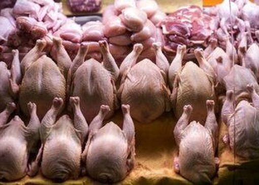 کشور همسایه به داد بازار مرغ ایران رسید