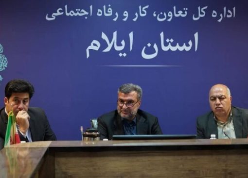 جذب ۵۲ درصدی اعتبارات مشاغل خرد و خانگی در ایلام