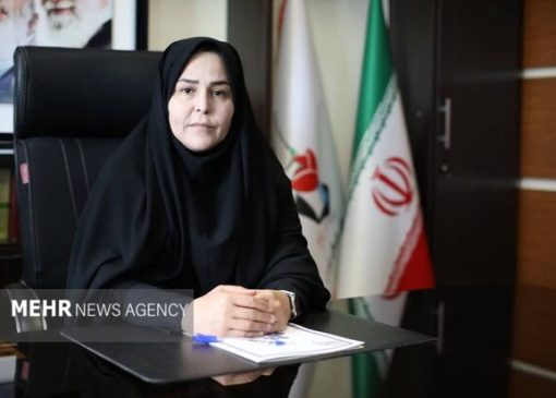 سرپرست بنیاد شهید استان تهران: اتحاد ملت ایران مرهون خون شهدا است