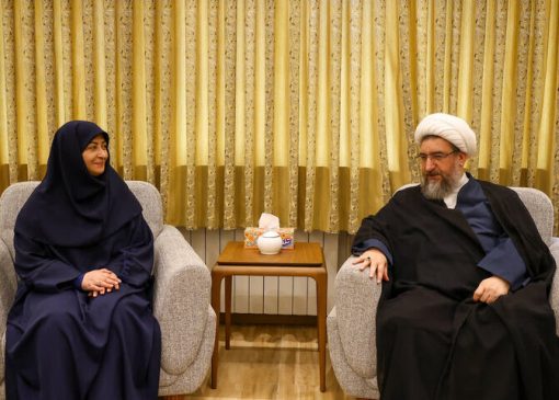 مطهری‌اصل: حفاظت از طبیعت وظیفه دینی و ملی است