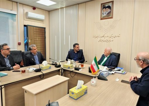 ستاد دیه می‌تواند بازوی اجرایی قوه قضائیه در توسعه عدالت ترمیمی باشد