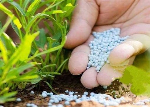 نسبت غلات به اوره به کف تاریخی رسید؛ خطر موج جدید تورم غذایی در جهان