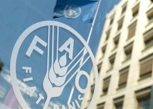 نماینده ایران در فائو: تنگه هرمز پیش از تجاوز علیه ایران باز بود