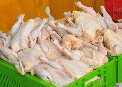 چرا مرغ در بازار کم شد؟