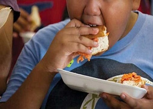 ارتباط غذا خوردن در بیرون از خانه با خطر چاقی