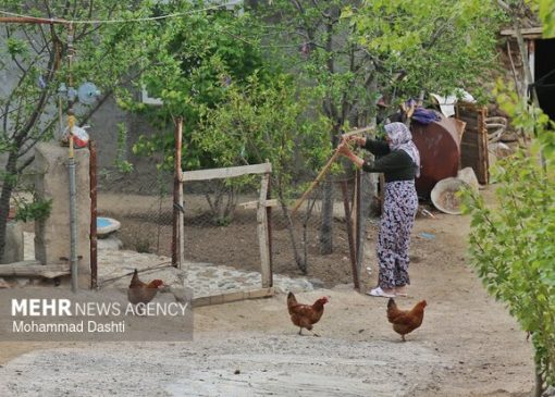 بوم‌گردی؛ از ایده گردشگری تا راهبرد تمدنی برای احیای روستا
