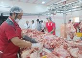 سختگیری جدید اروپا؛ فرصتی برای ارتقاء سلامت تولیدات دامی ایران