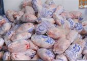 2 هزار تن گوشت مرغ تاریخ‌گذشته از سردخانه‌های تهران جمع‌آوری شد