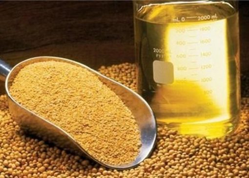 ثبت سفارش واردات انواع روغن از امروز آغاز شد