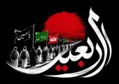 رومینگ ایرانسل، انتخاب بیش از نیمی از زائران اربعین