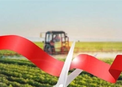 میانگین زمان صدور مجوزهای کشاورزی به 35 روز کاهش یافت