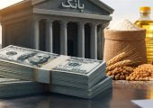 تسهیلات ارزی برای واردات کالای اساسی؛منابع بانک‌ها ازکجا تأمین می‌شود؟
