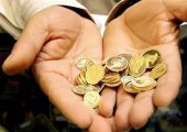 جزئیات عرضه اولیه اوراق سلف موازی استاندارد سکه