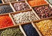 مواد غذایی گیاهی سرشار از پروتئین را به رژیم غذایی خودتان اضافه کنید