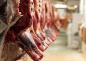 واردات گوشت قرمز با وجود محدودیت های تنگه هرمز ادامه دارد