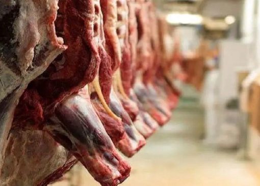 واردات گوشت قرمز با وجود محدودیت های تنگه هرمز ادامه دارد