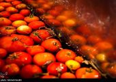 چرا رب‌گوجه 40 روزه 57 درصد گران شد؟