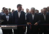 صالحی امیری: بوشهر با توسعه گردشگری دریایی به مقصدی مهم تبدیل می‌شود